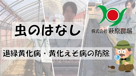 化病|退緑黄化病の診断および防除マニュアル